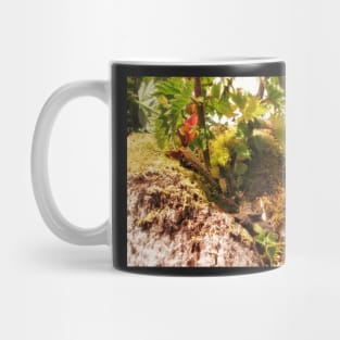 Pendle Fairy Garden Mug